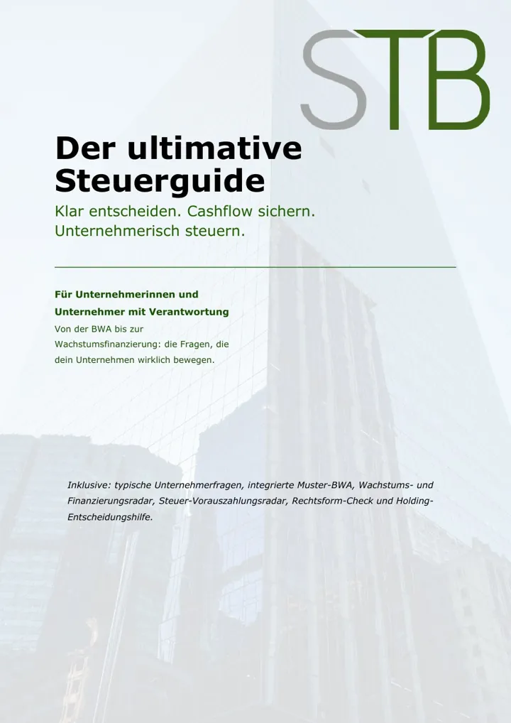 Der ultimative Steuerguide: Titelseite mit zwei Innenseiten, Muster-BWA und Kostenstruktur